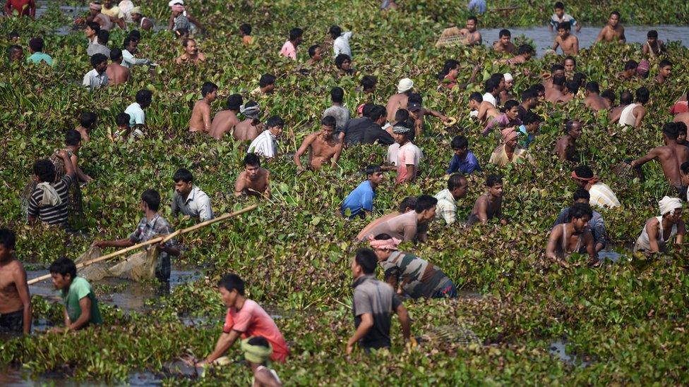 India fishing festival