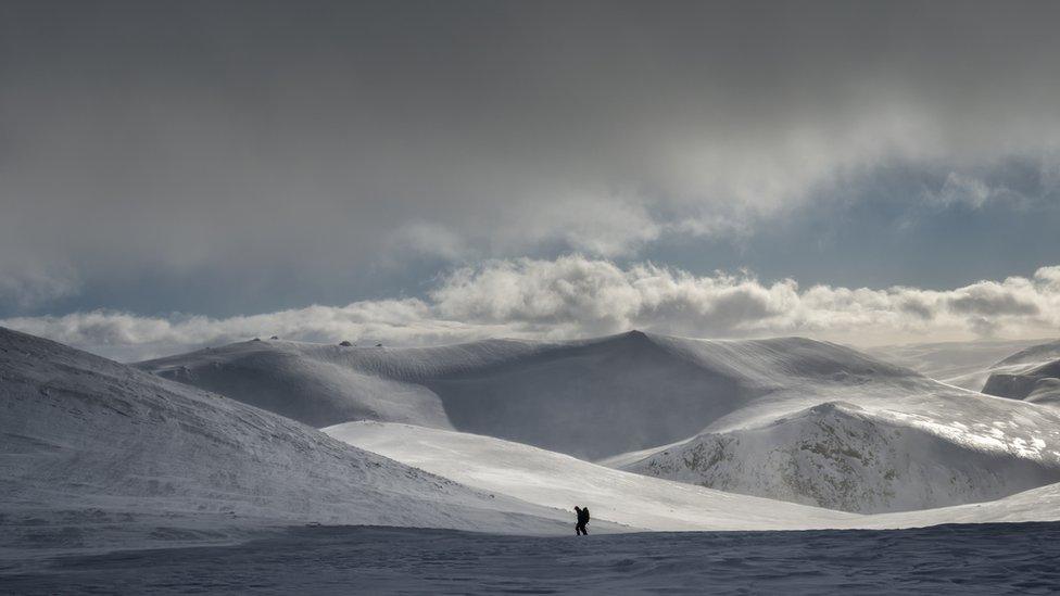 Skier in Cairngorms