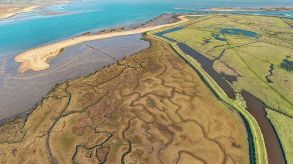 Horsey Island in Essex