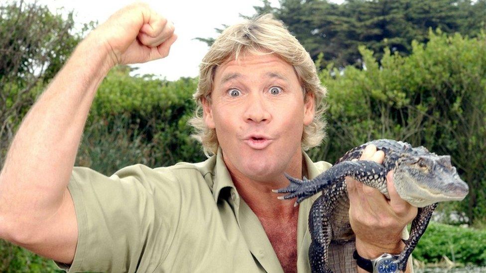 Steve Irwin