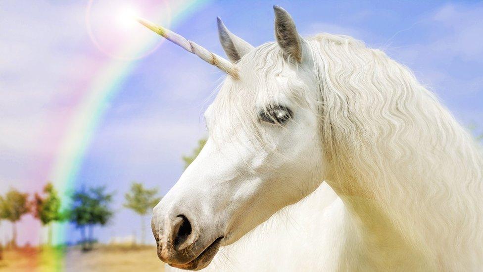 unicorn