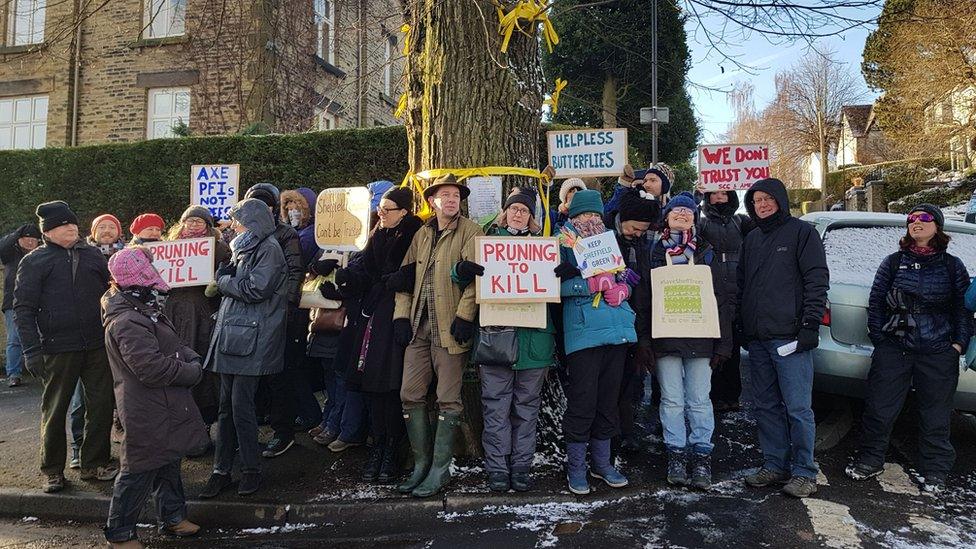 Street tree protesters