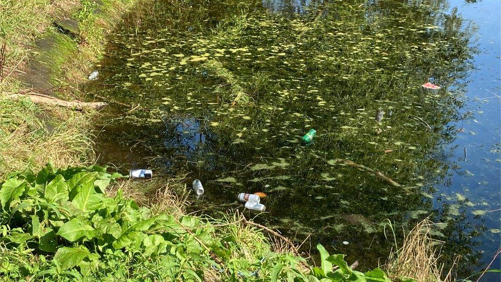 Rubbish sitting in water in the Charterhouse grounds