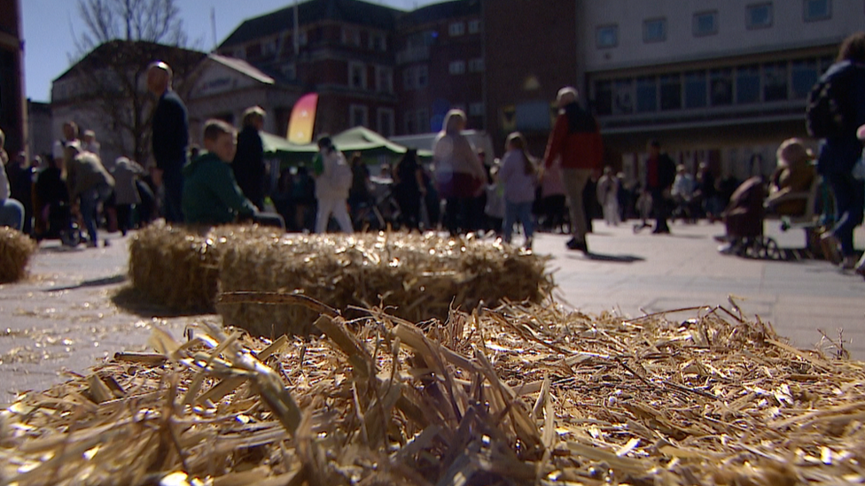 General views of the pop up farm