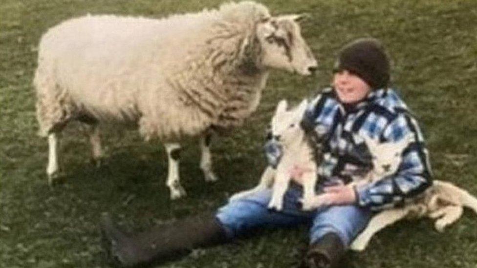 Hector Eccles with sheep on his family farm