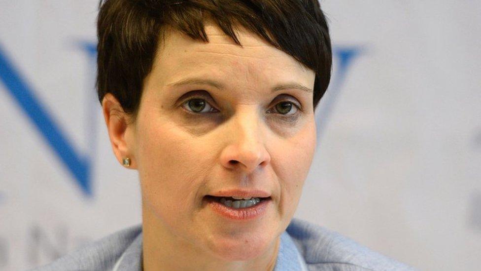 Frauke Petry, 21 Jan 17 pic