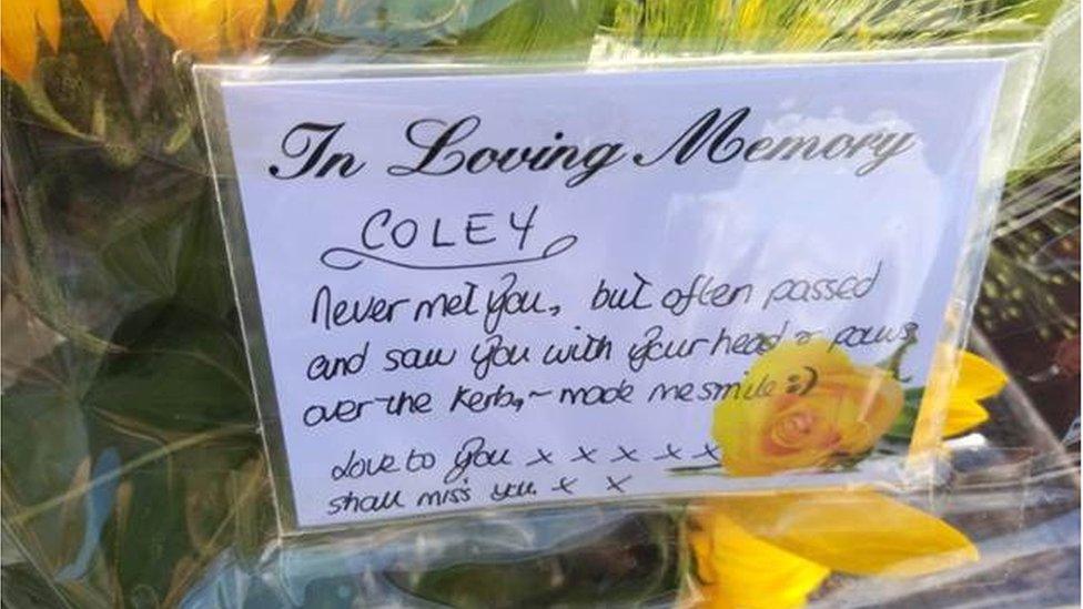 A tribute left to Coley