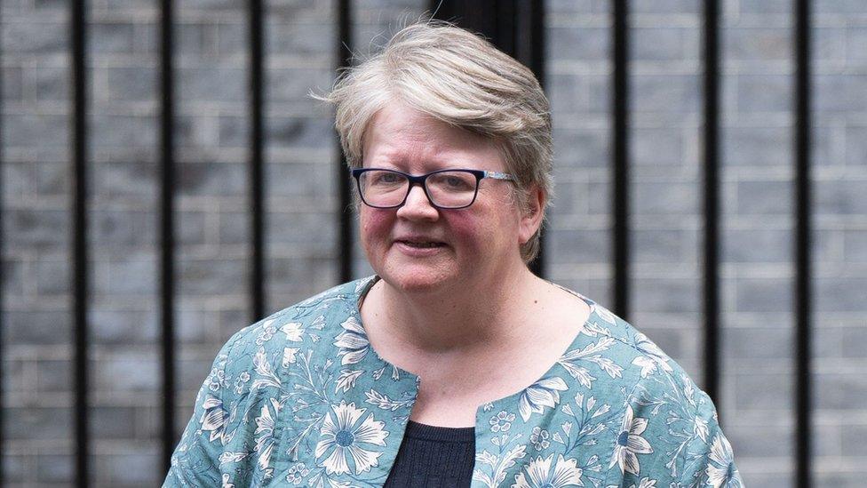 Therese Coffey