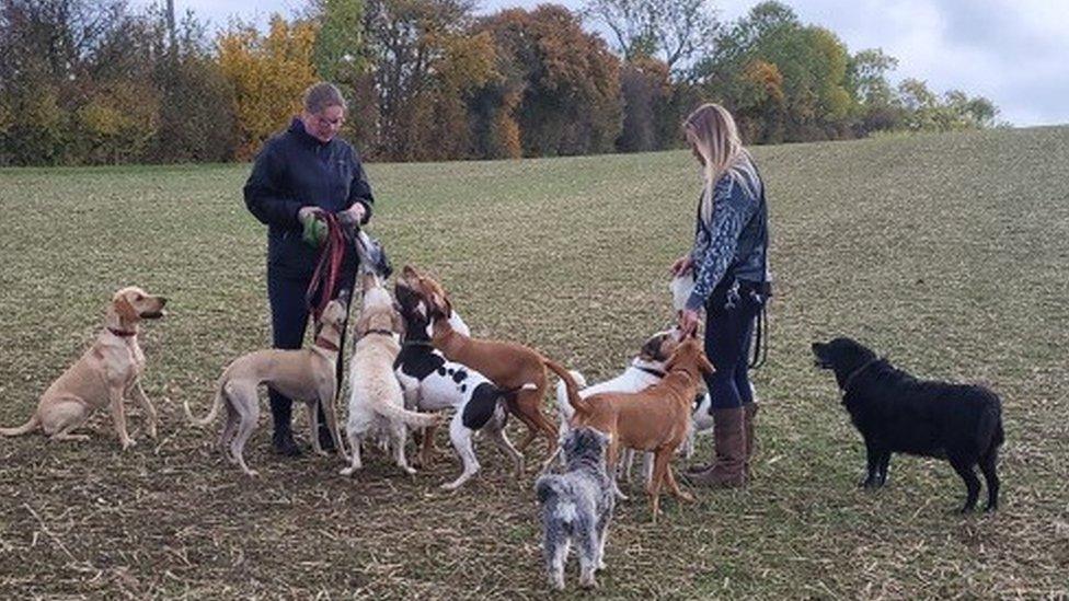 Two women in a field with a number of dogs on a leash