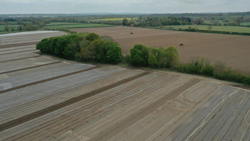 An aerial view of the site of Wasperton Quarry