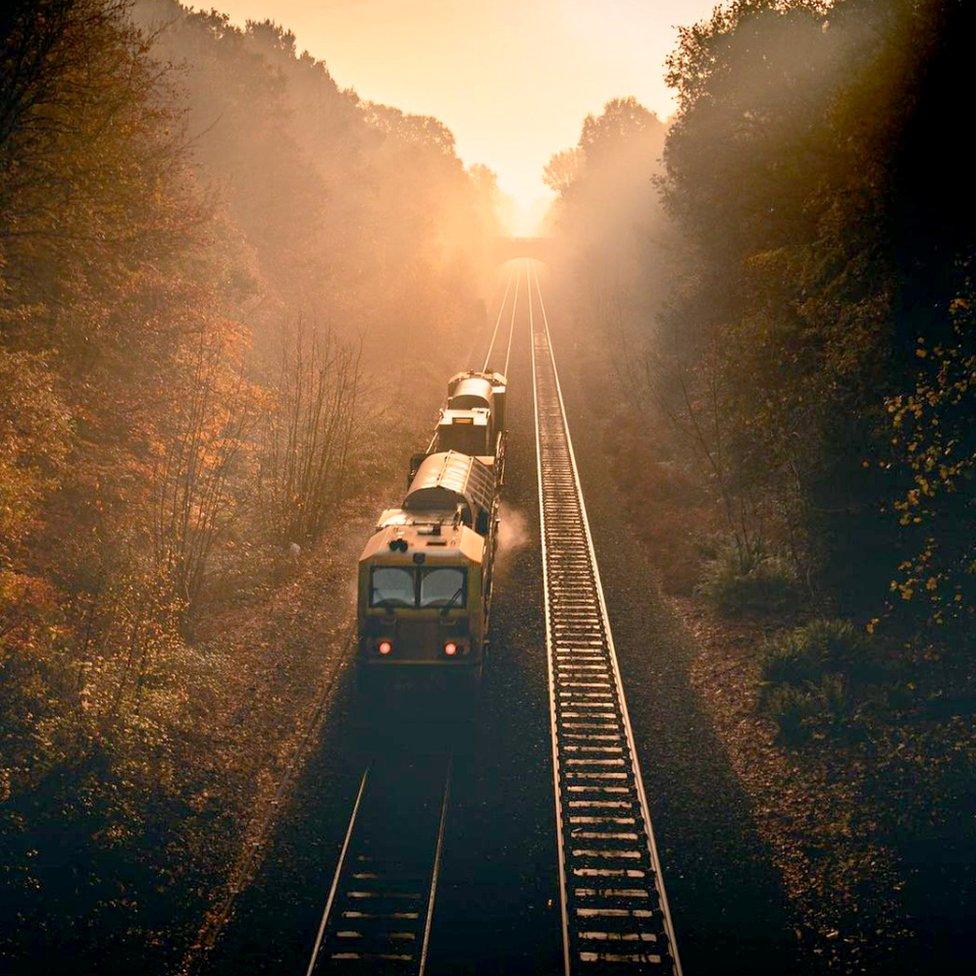 A freight train passes through Sutton Park at sunset