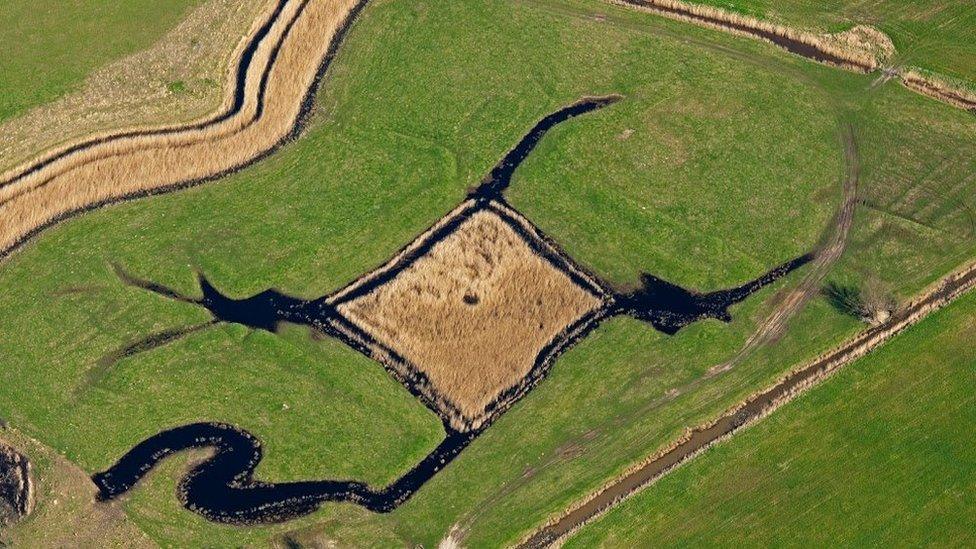 Decoy pond aerial view