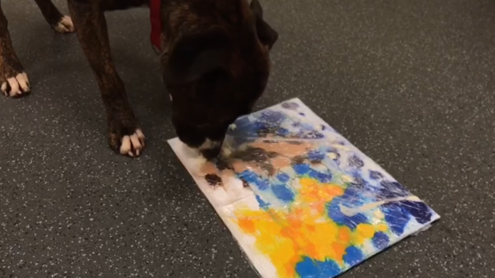 Banksy the dog painting