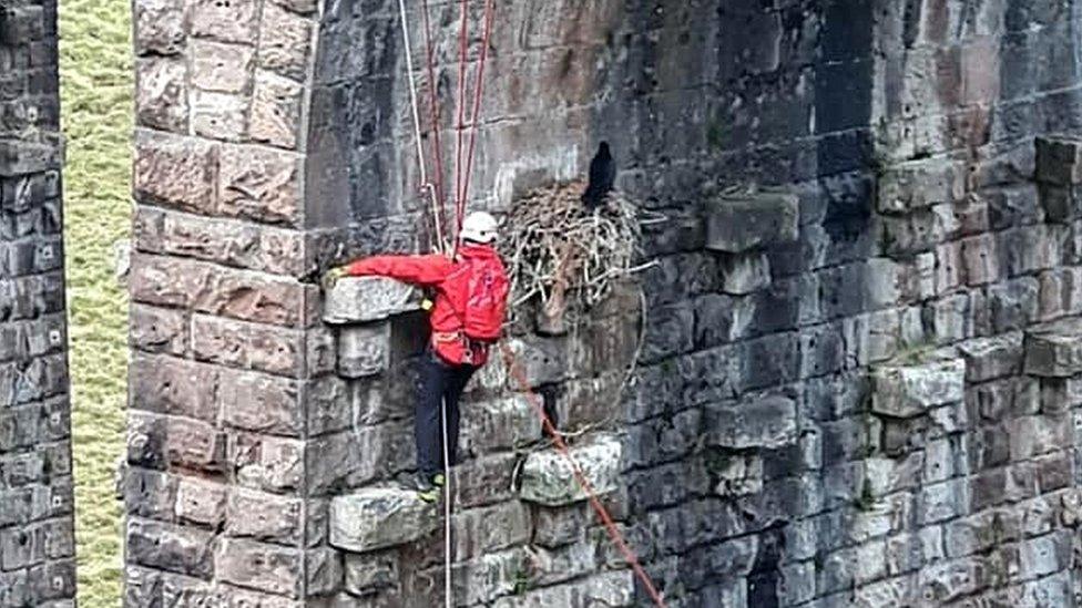 Man abseiling on viaduct with bird