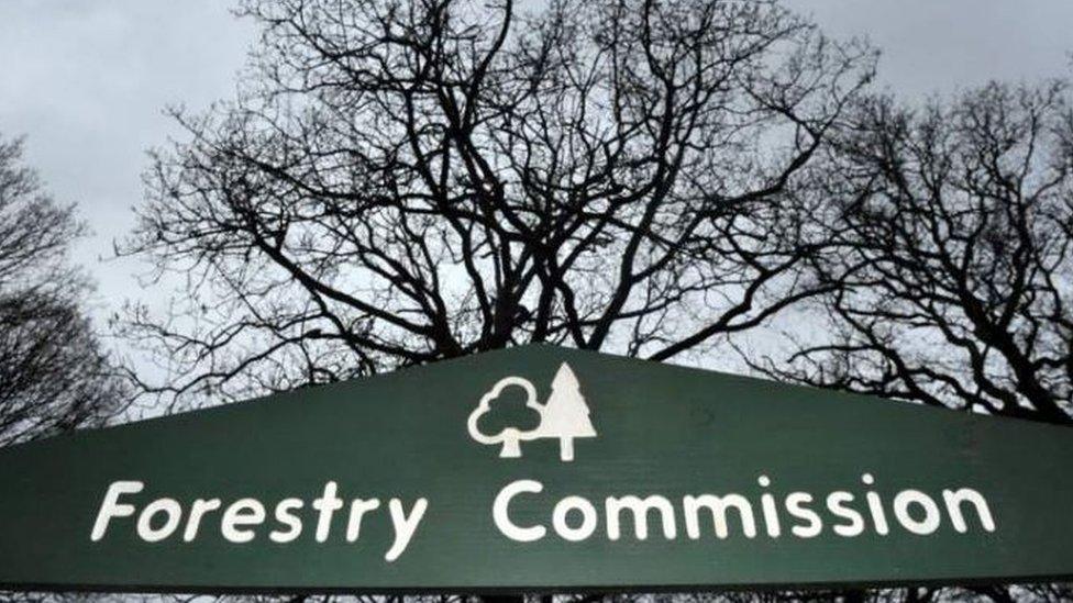 Forestry Commission sign