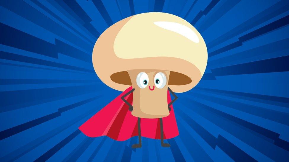 mushroom-in-cape.