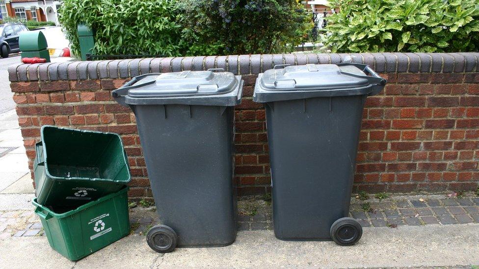 Black wheelie bins