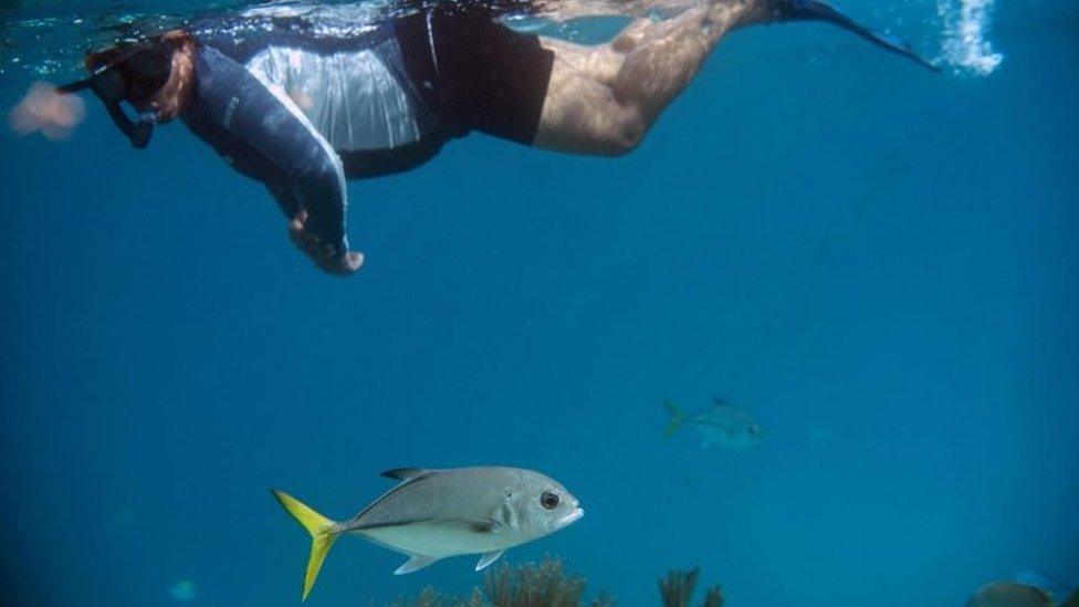 A woman snorkels at the Hol Chan Marine Reserve coral reef in the outskirts of San Pedro village, in Ambergris Cay, Belize, on June 7, 2018