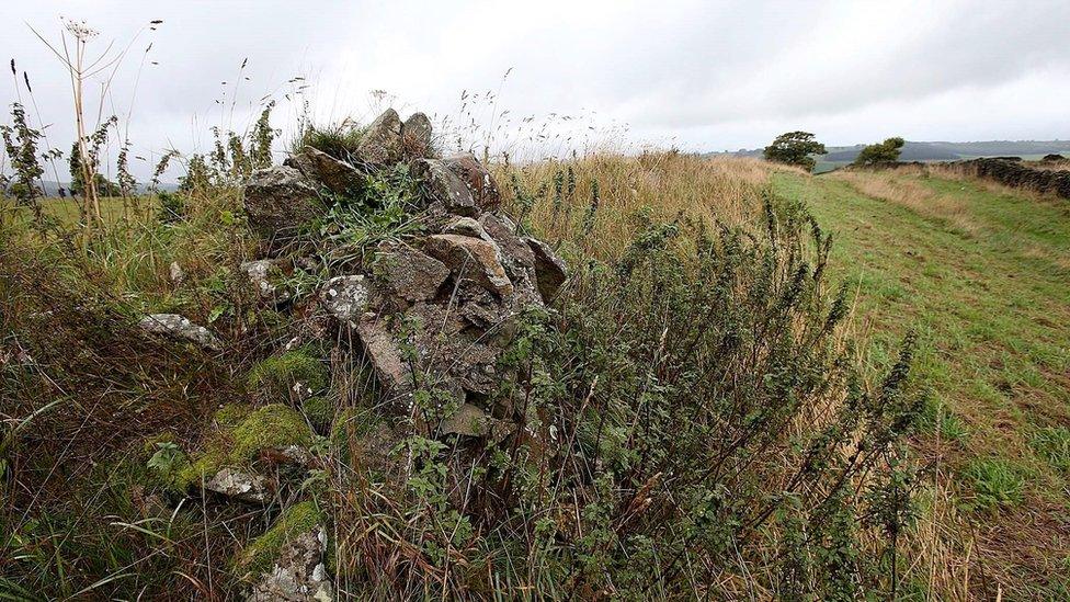 Remains of a Roman wall