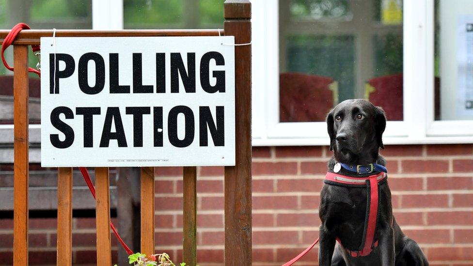 a dog sitting next to the polling station sign