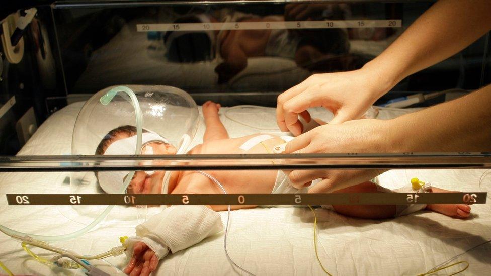 Premature baby in incubator