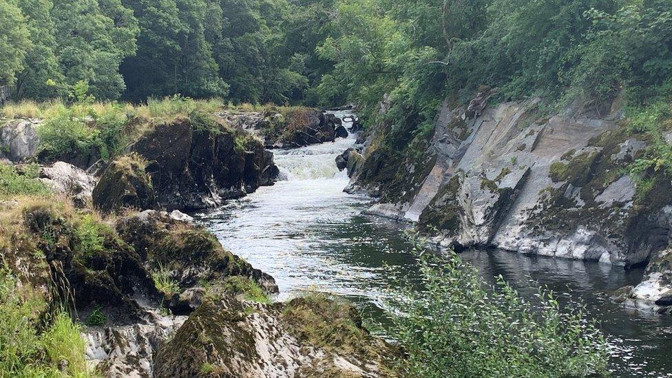 low water level at Cenarth Falls