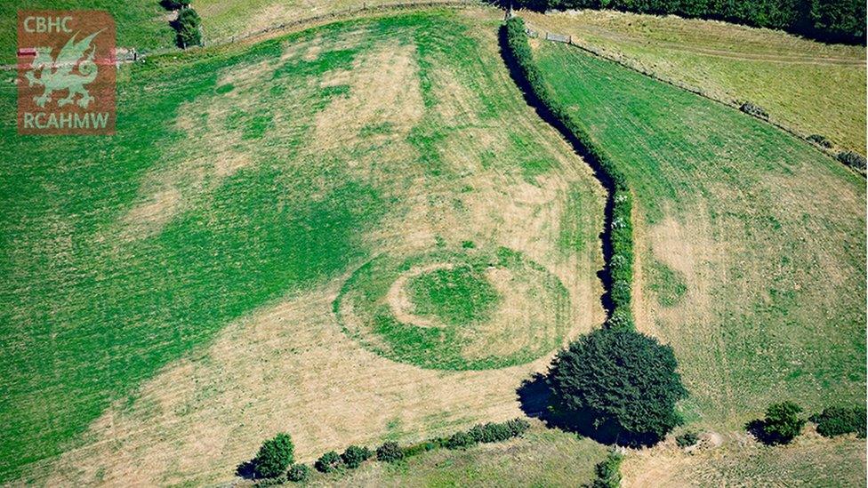 The almost ploughed-down medieval castle mound at Castell Llwyn Gwinau in Tregaron, Ceredigion, showing clearly under parched conditions