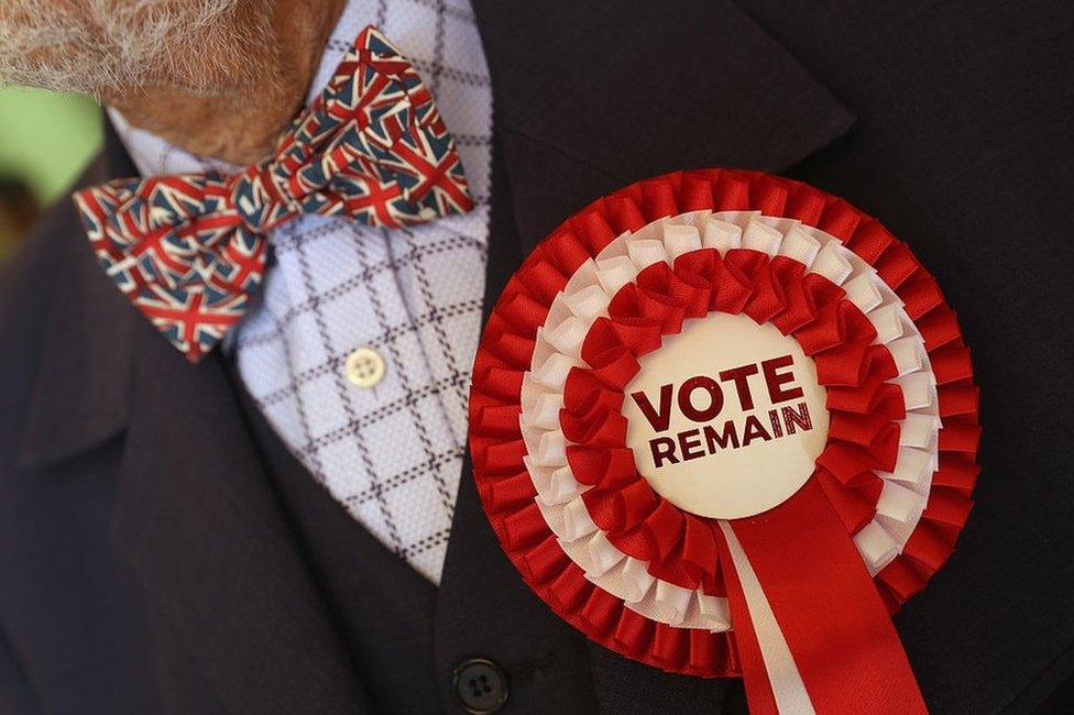 A man wearing a Union Jack bowtie and a Vote Remain rosette