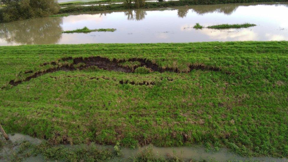 River banks at Fiskerton