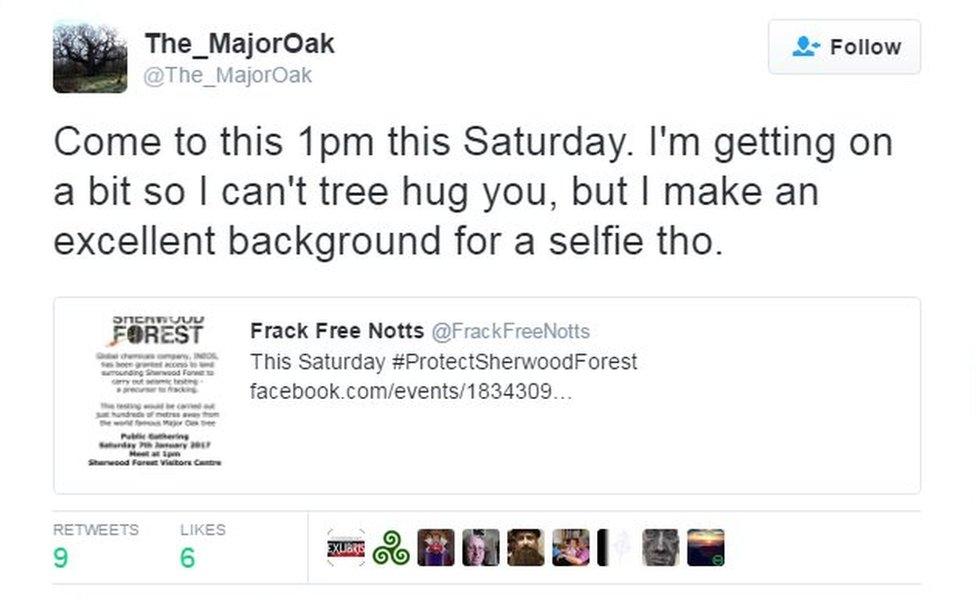 The Major Oak tweeted: Come to this 1pm this Saturday. I'm getting on a bit so I can't tree hug you, but I make an excellent background for a selfie tho.