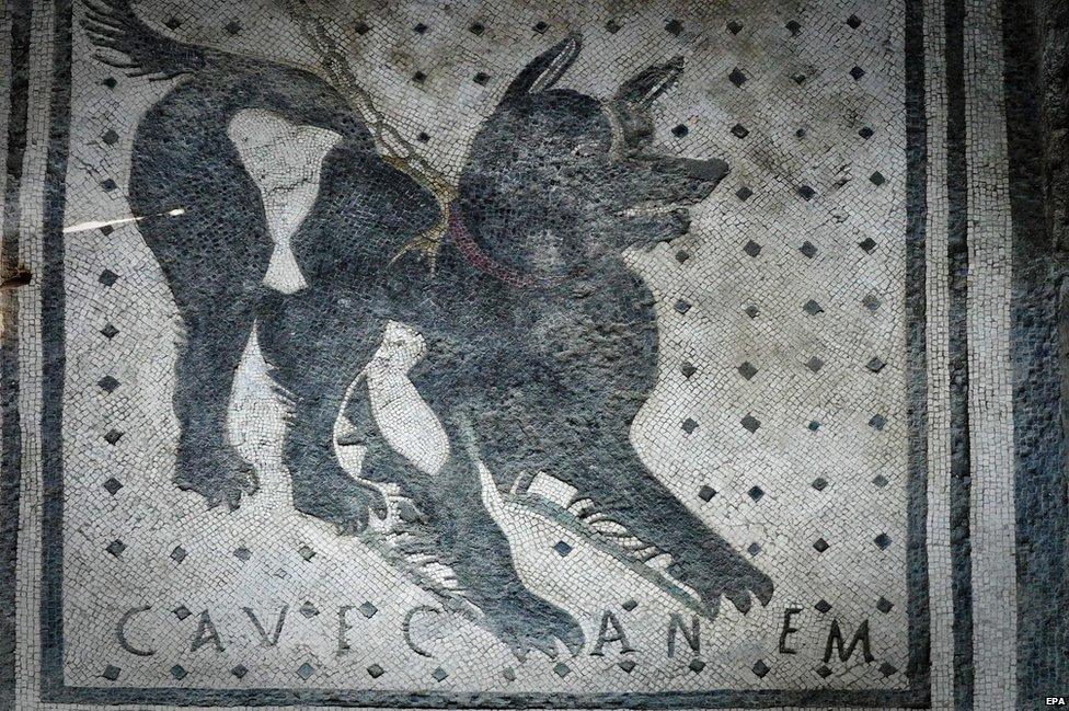 Pompeii dog mosaic