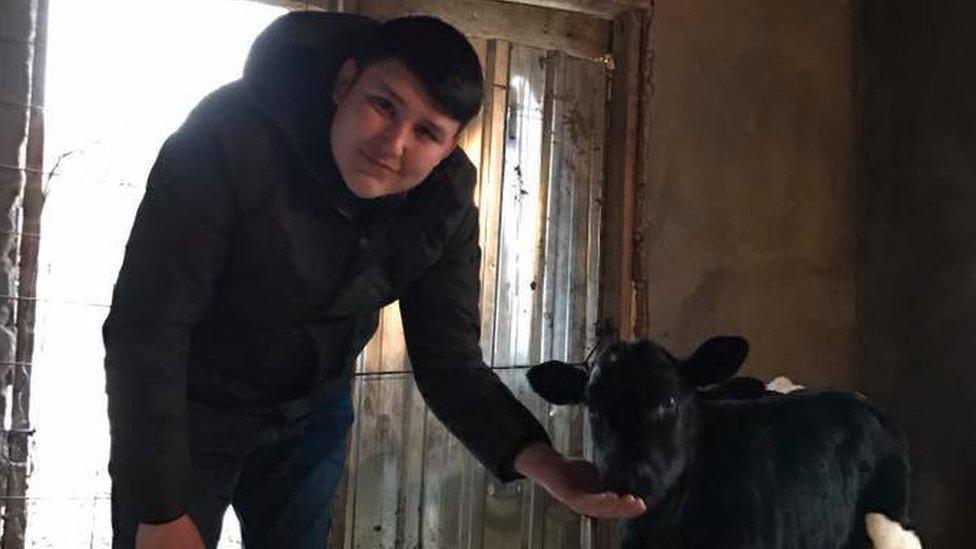 Mehmet Aydin feeding a calf