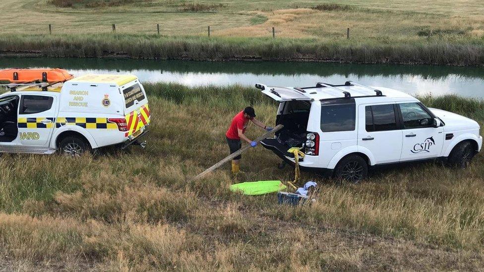 Coastguard and CSIP vehicles at the scene of the dolphin's death