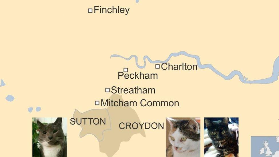 Map of where the cats have been killed correct at 18 February 2016