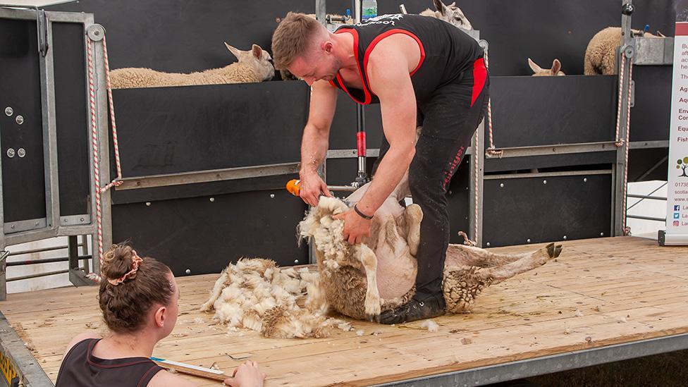 Shearing