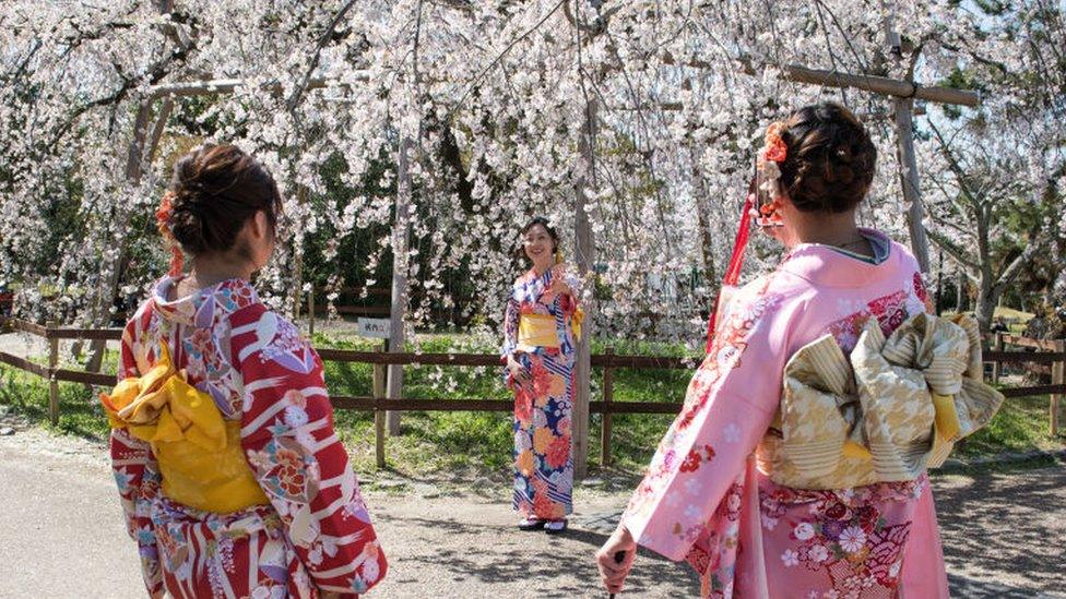 Women in Tokyo during cherry blossom season (file pic - 2018)