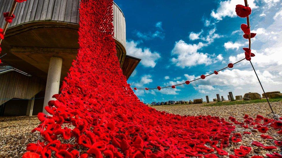 Crocheted poppies display