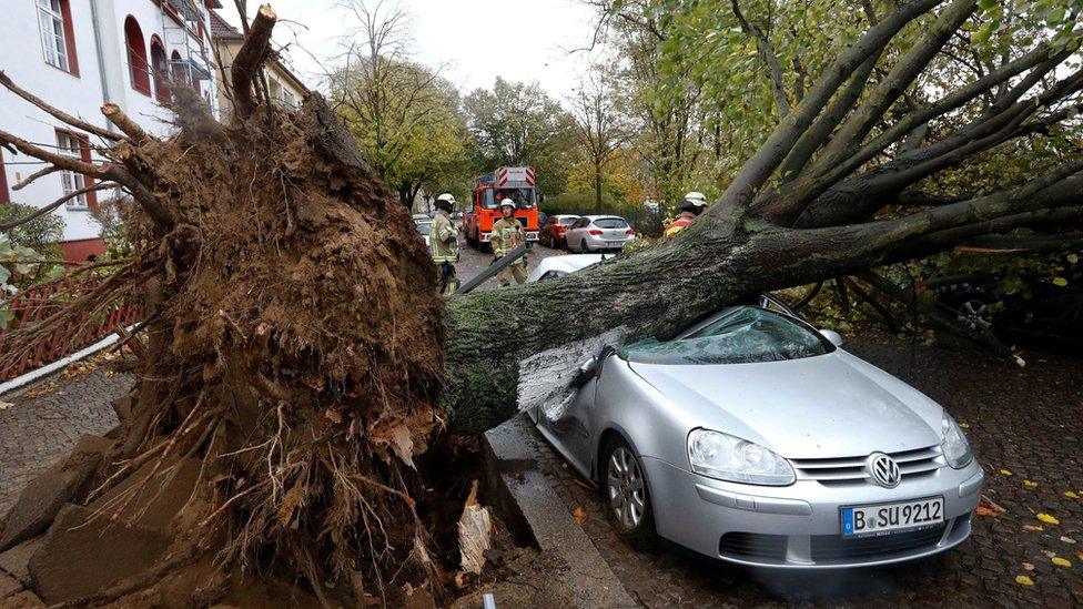 Firefighters are pictured next to a car damaged by a tree during stormy weather caused by a storm called "Herwart" in Berlin