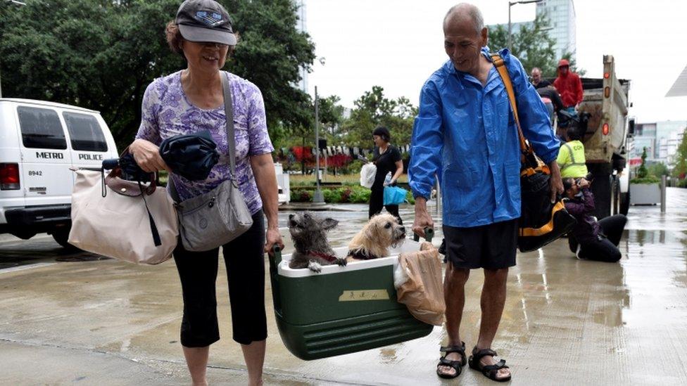 A couple are pictured with two dogs inside a coolerbox