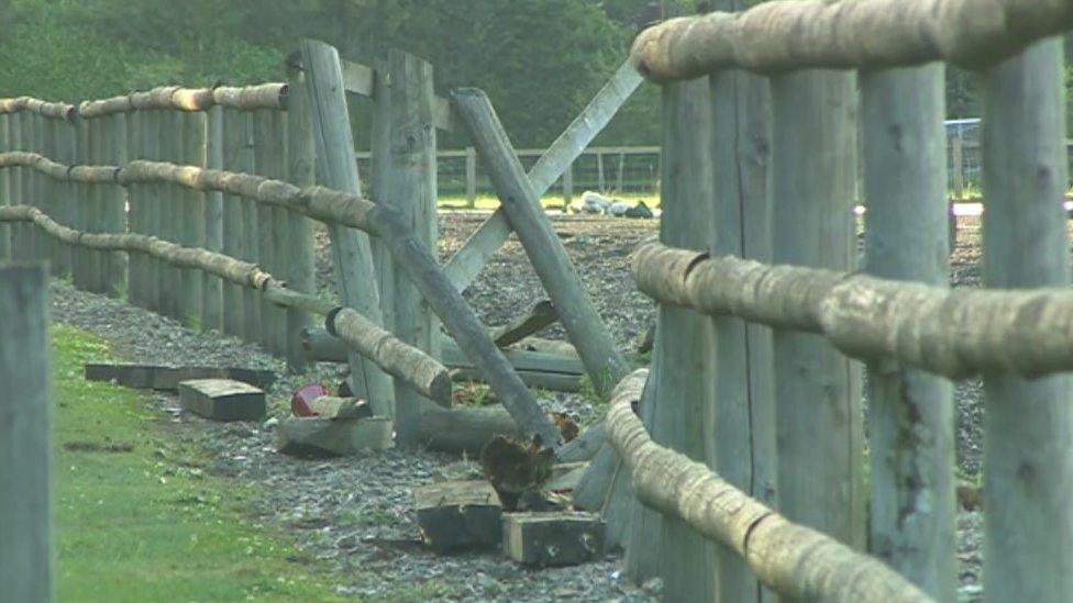 The crash site on an access road linking Newlyns and Lodge Farms