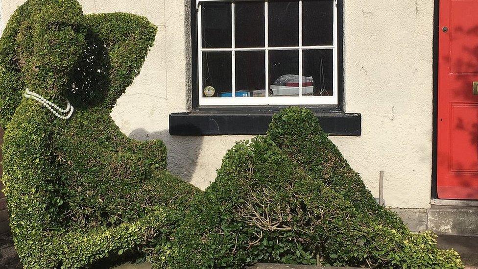 Privet hedge shaped like a nude woman