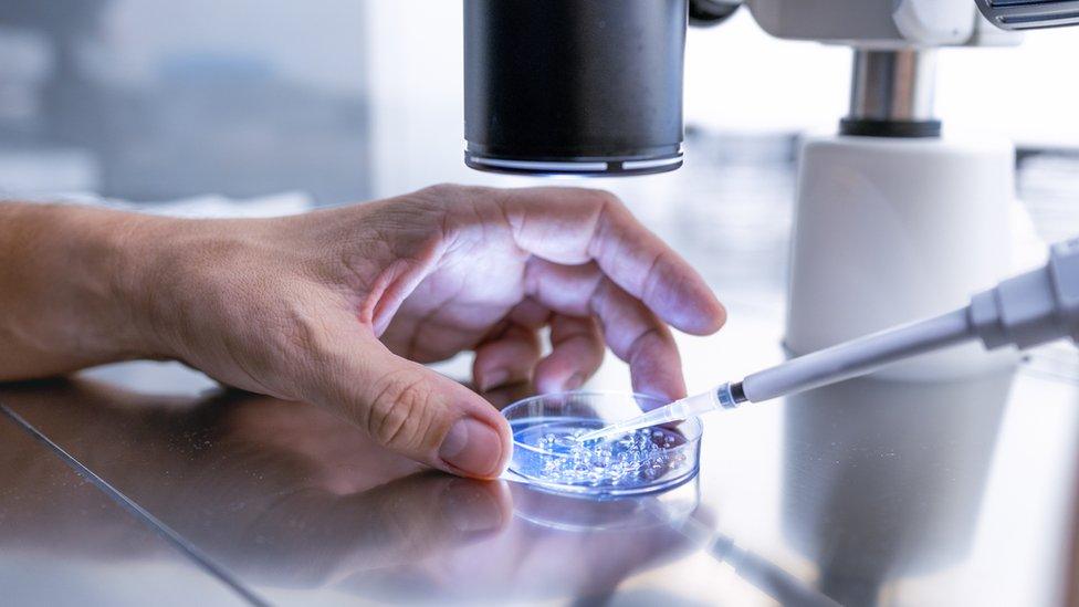 A doctor prepares embryo cultivation plates for IVF treatments