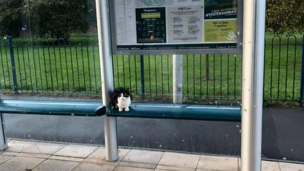 Benton at tram stop