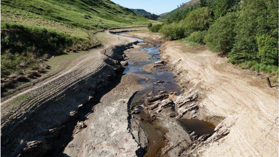 Afon Tywi bron yn sych ger cronfa ddŵr Llyn Brianne