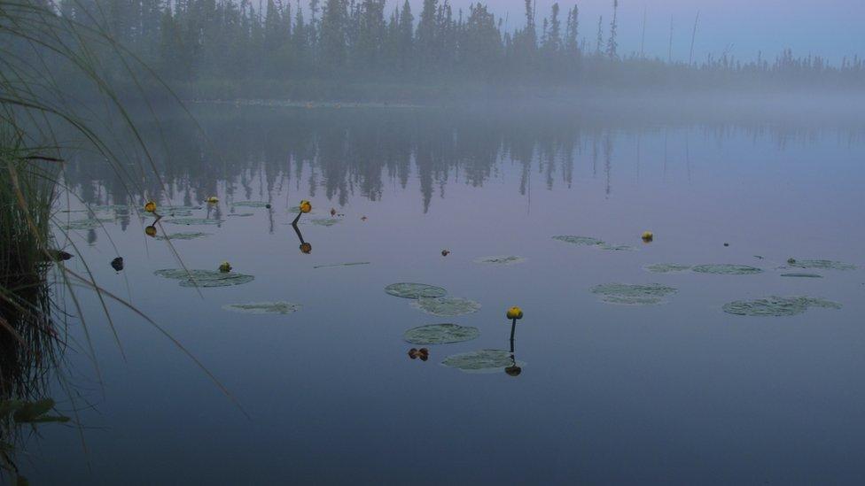 Birch Mountains Wetlands