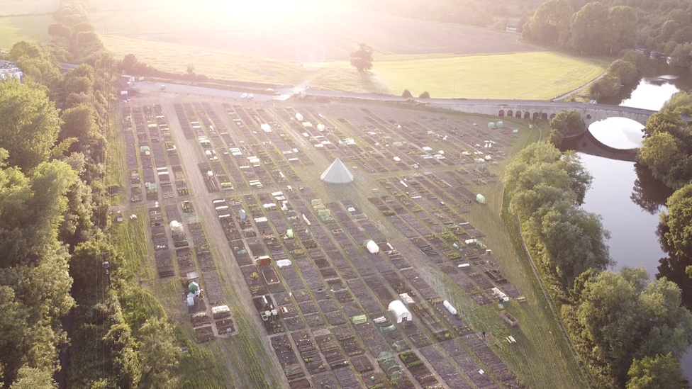 Roots Allotments