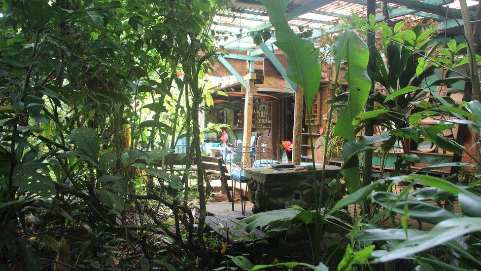 A view of a building among dense foliage on Javier Lijo's farm