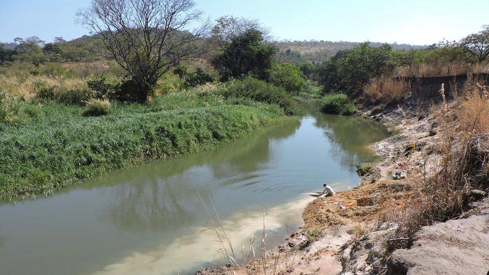 An archaeologist gathers samples of sediment from the riverbank: The ancient wood was preserved in riverbed sediments