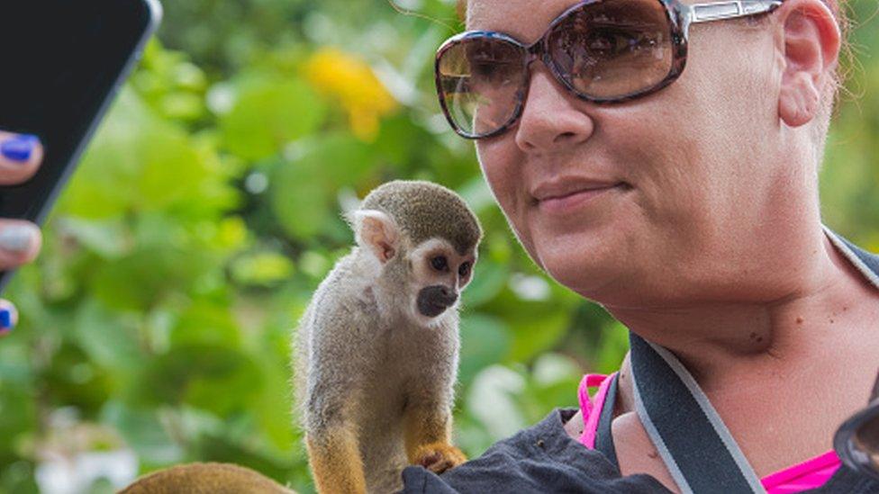 man taking picture with monkey