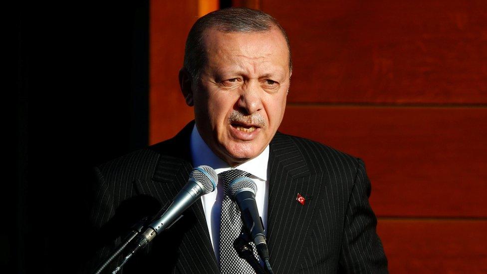 Turkish President Tayyip Erdogan delivers a speech in Cologne, Germany.